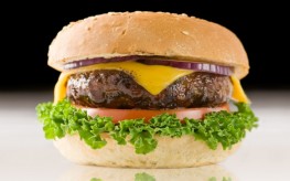 hamburger-263x164